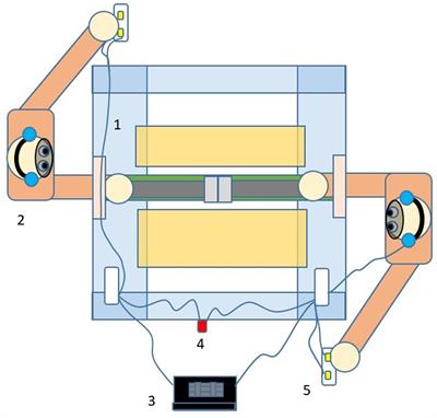 Where Is the Action in Perception? An Exploratory Study With a Haptic Sensory Substitution Device